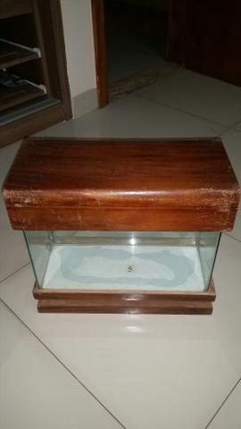 Vendo Aquário 40x16x24 com tampa de madeira