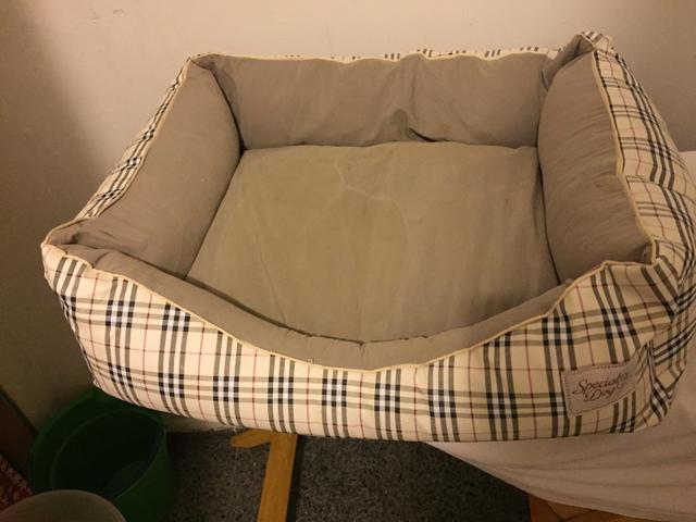 Caminha para cachorro tamanho M