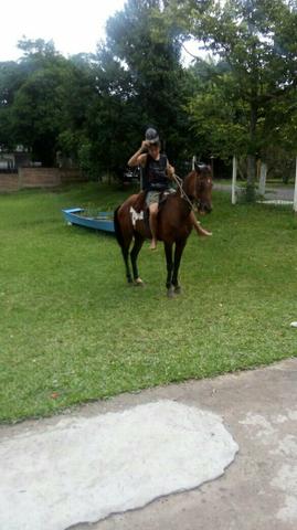 Vendo egua 500 nova santa Rita RS