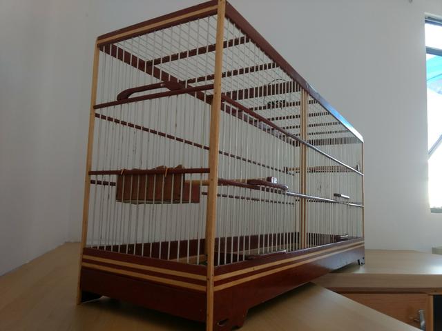 Voador - gaiola - viveiro