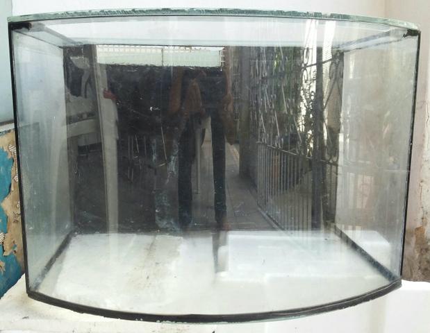 Aquário vidro curvo