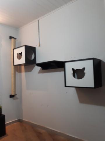 Brinquedo para gatos