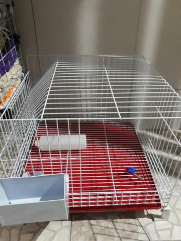 Gaiola para Coelho Nova