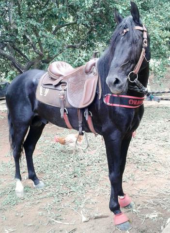 Cobertura sem registro