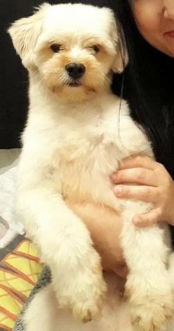 Doação responsável