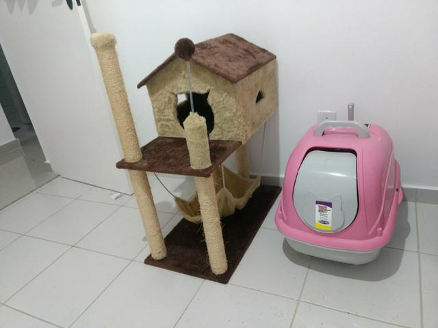 Kit casinha para gato