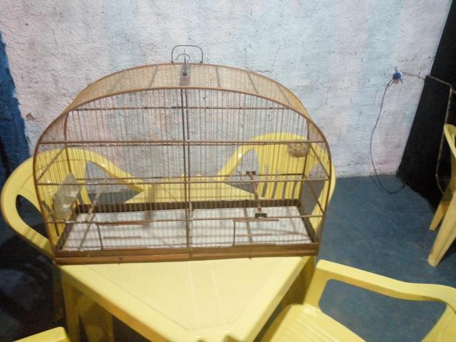 Vende se voador 82 de comprimento 56 de altura 25 de largura