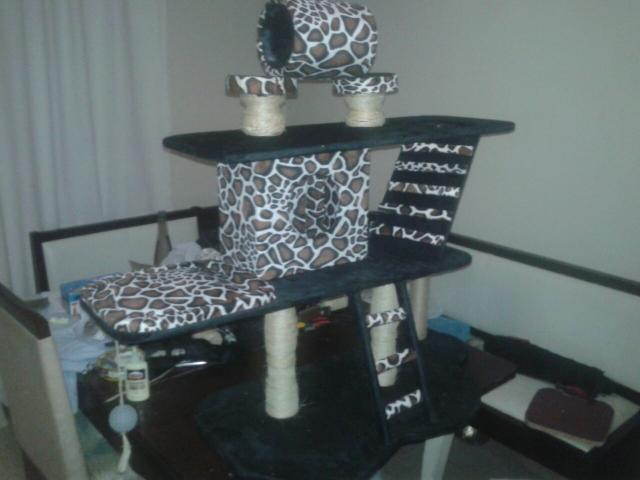 Casa arranhador para gatos