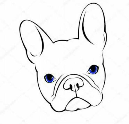 Bulldog Francês