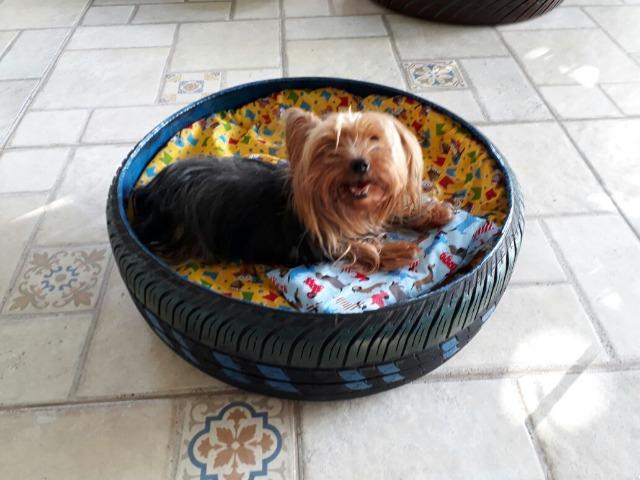 Cama ecológica e sustentável para cães