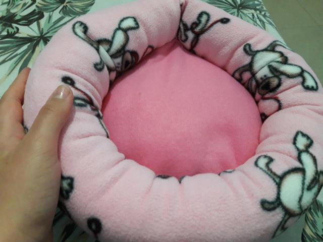 Para Porquinhos da Índia