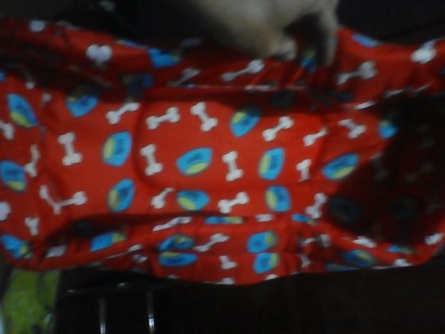 Colchãozinho de cachorro