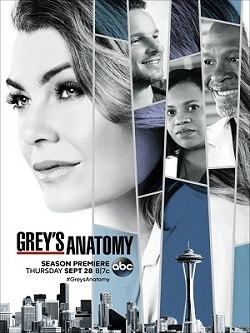 Grey's Anatomy 14° Temporada Completa + Frete Gratis