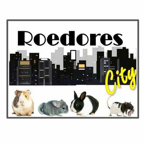 Roedores city