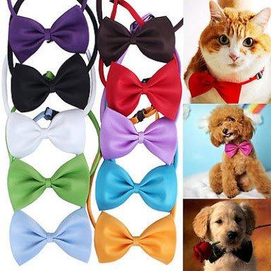 Coleira laço lacinho gravatinha para cães e gatos