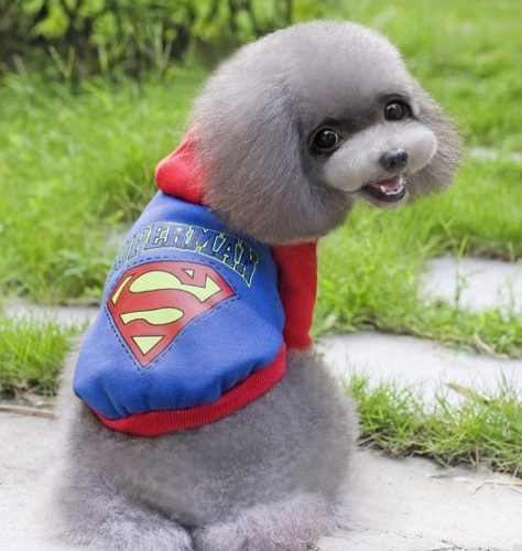 Roupinha Cachorro - Moletom Superman Herois Animais Pequenos