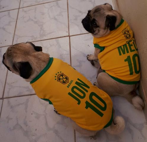 Roupinha do Brasil para cachorro