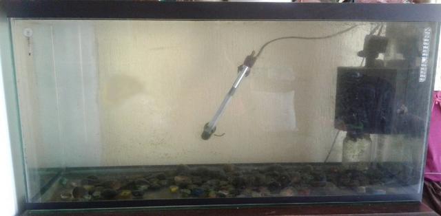 Aquario 200 Litros sem Balcão