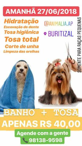 Banho e tosa - 40 reais so hoje dia  (promoção)