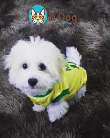 Camisas do Brasil para cachorro