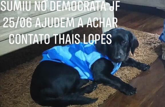 Procuro recompensa pra quem encontrar