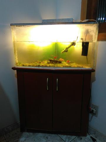 Aquário de canto + móvel
