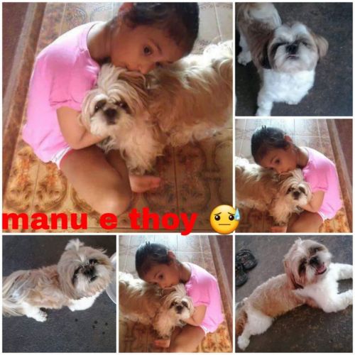 Olá Thoy. Onde Você Está? Precisamos Ti Encontrar.