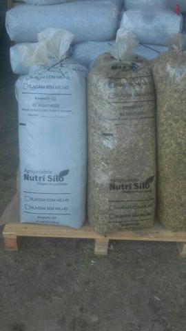 Silo para gado e cavalo ensacada