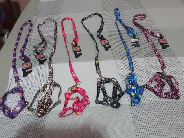 Coleira completa pro seu cachorro com guia