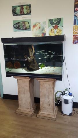 Aquário 300litros