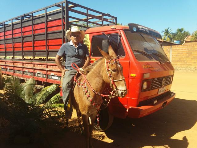Mula de patrão - marcha picada