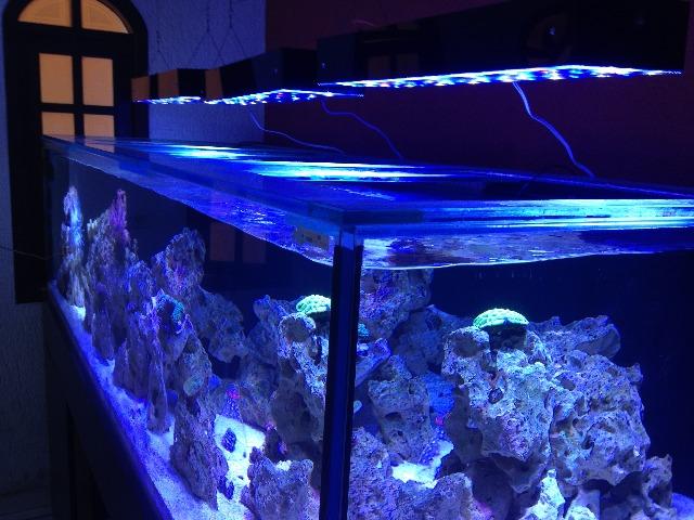 Luminária de Led Cree para aquário com controladora automática