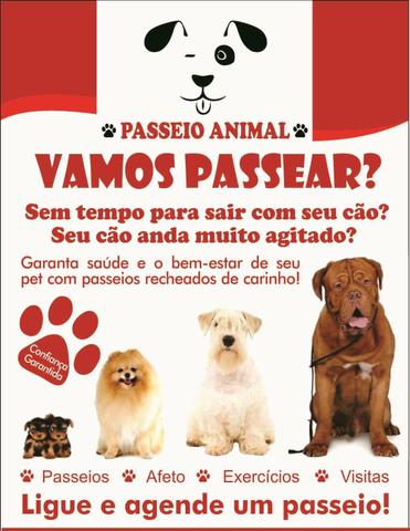 Dog walker/ passeadora de cães