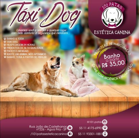 Pet shop 101 patas