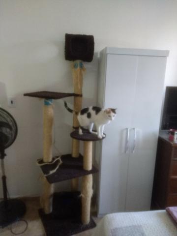 Arranhador para seu Gato