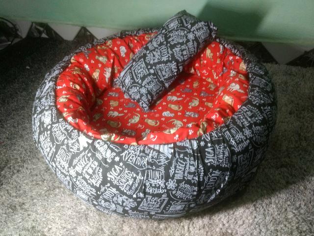 Caminha para cachorro e Gato