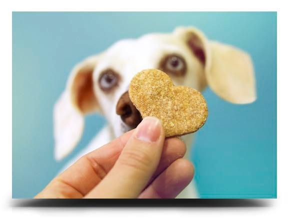 Biscoitos Saudáveis Para Cachorros