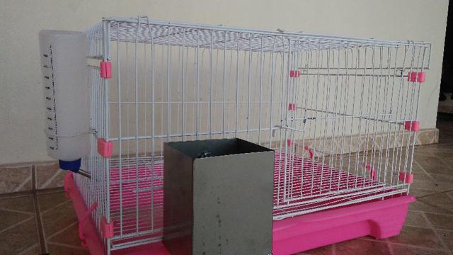 Gaiola para coelho (seminova)
