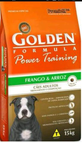 Golden Power Training Adulto