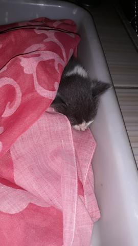 Me ajudem por favor leia a descrição