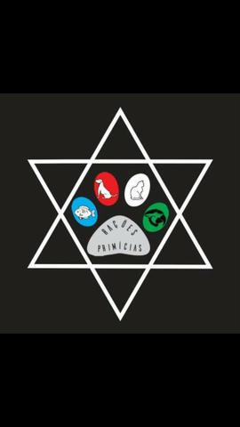 Promoções Roedores