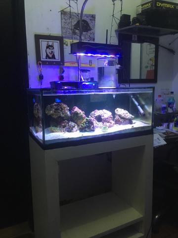 Aquario completo
