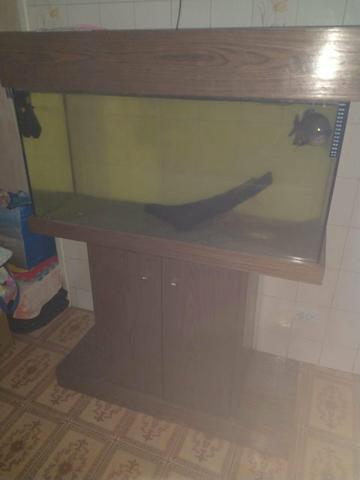 Aquário