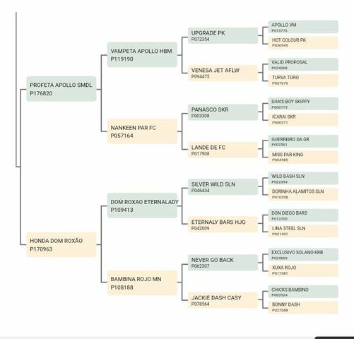 Potro puro neto do roxao
