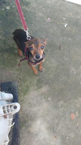 Doação urgente, leia o anúncio