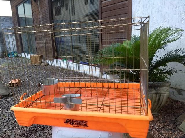 Gaiola Para Roedores