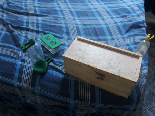 Acessório de passarinho