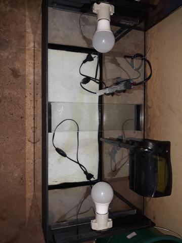 Aquário Completo