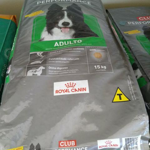 Racao royal canin adulto 15 kg