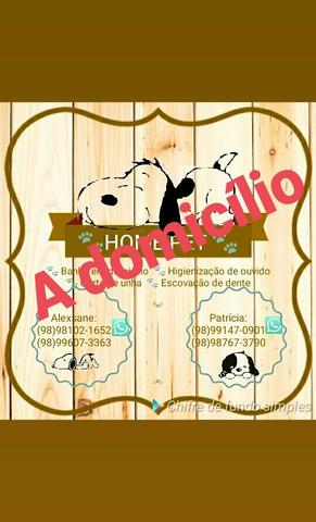 Banho e higienização do seu pet/cachorro